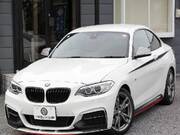 2017 BMW OTHER