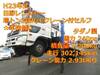 HINO OTHER