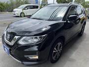 2019 NISSAN X-TRAIL