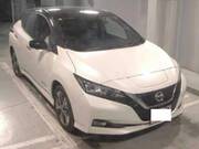 2019 NISSAN LEAF