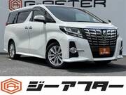 2017 TOYOTA ALPHARD