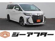 2019 TOYOTA ALPHARD HYBRID