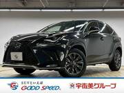 2020 LEXUS NX