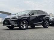 2021 LEXUS NX
