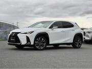 2020 LEXUS UX