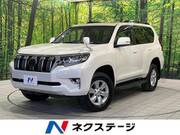 2021 TOYOTA LAND CRUISER PRADO TX