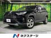 2019 TOYOTA RAV4 G