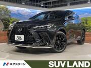 2024 LEXUS NX
