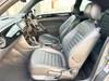 VOLKSWAGEN THE BEETLE