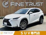 2014 LEXUS NX
