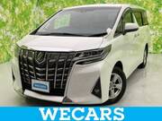 2019 TOYOTA ALPHARD G
