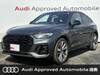 AUDI OTHER