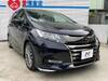 HONDA OTHER