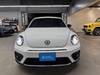 VOLKSWAGEN THE BEETLE