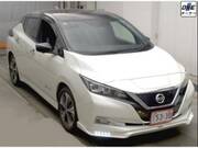 2019 NISSAN LEAF
