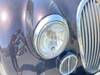 MITSUOKA VIEWT