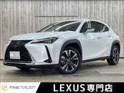 2019 LEXUS UX