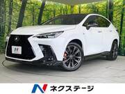 2024 LEXUS NX