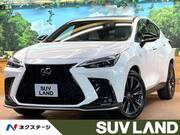 2022 LEXUS NX