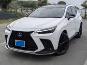 2024 LEXUS NX