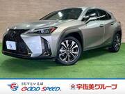 2019 LEXUS UX