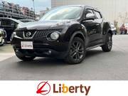 2013 NISSAN JUKE
