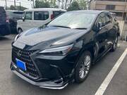 2021 LEXUS NX