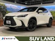 2023 LEXUS NX