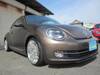 VOLKSWAGEN THE BEETLE