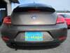 VOLKSWAGEN THE BEETLE