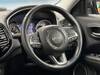 CHRYSLER JEEP COMPASS