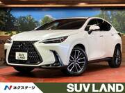2021 LEXUS NX