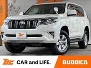 2019 TOYOTA LAND CRUISER PRADO