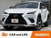 2019 LEXUS NX