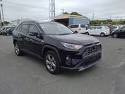 2019 TOYOTA RAV4 HYBRID G