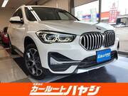 2021 BMW X1