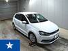 OTHER POLO