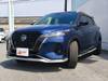 NISSAN OTHER