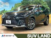 2020 LEXUS NX