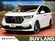 2024 HONDA OTHER