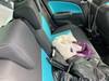 SUZUKI SPLASH