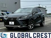 2021 LEXUS NX