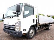 2010 NISSAN OTHER