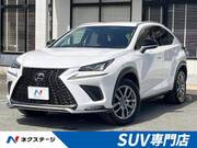 2018 LEXUS NX