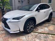 2014 LEXUS NX