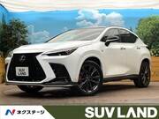 2025 LEXUS NX
