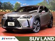 2019 LEXUS UX