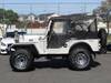 MITSUBISHI JEEP