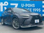 2024 LEXUS NX
