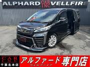 2019 TOYOTA VELLFIRE